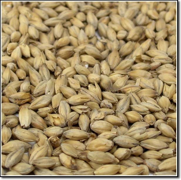 Simpsons Golden Promise - Maillard Malts