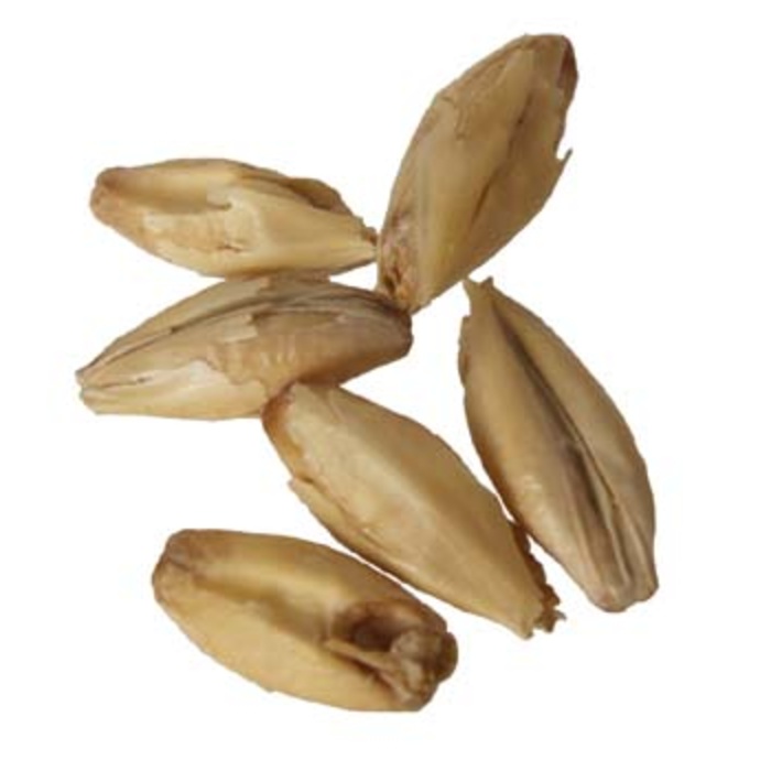 Weyermann Rauch Malt